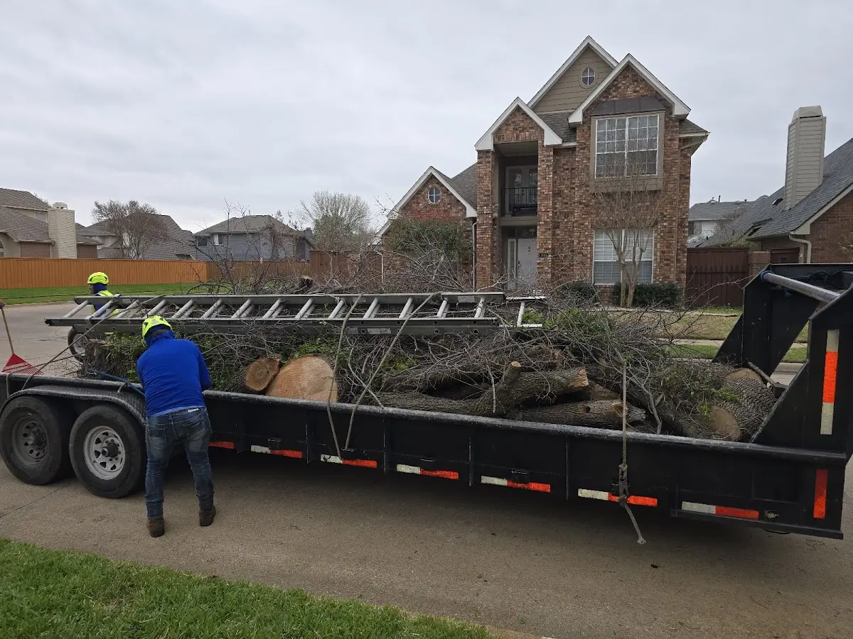 Expert Tree Removal with proper safety equipment in Hanksville